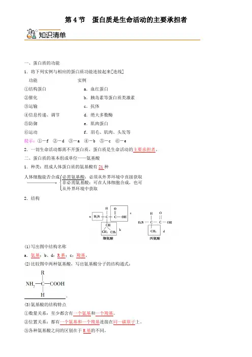 生物人教版高中必修一(2019年新编)2-4 蛋白质是生命活动的主要承担者(教案)