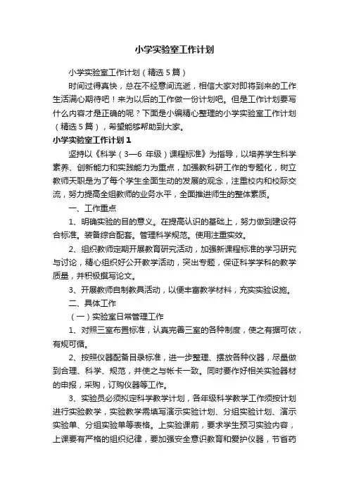 小学实验室工作计划（精选5篇）