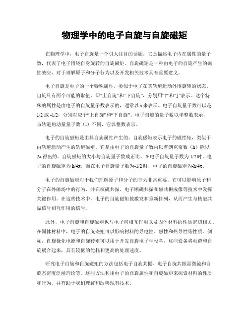 物理学中的电子自旋与自旋磁矩