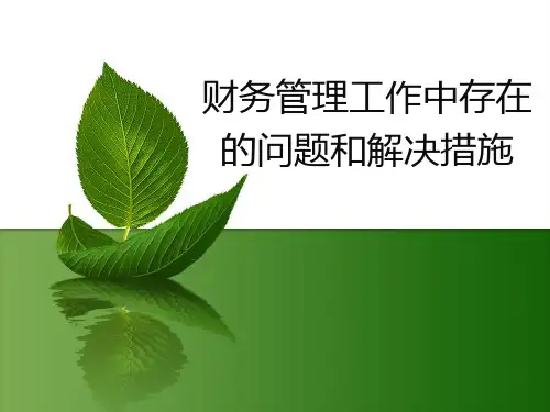 财务管理工作中存在的问题和解决措施
