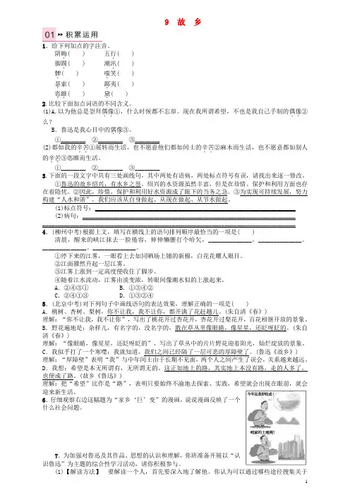 九年级语文上册 第三单元 9《故乡》练习 (新版)新人教版