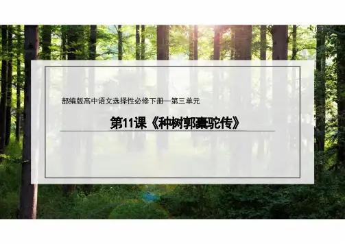 11《种树郭橐驼传》课件(共31张课件)统编版高中语文选择性必修下册