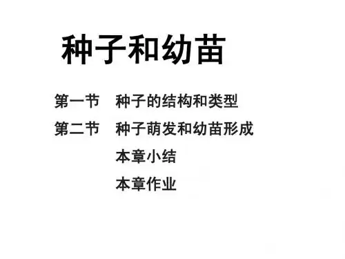 03种子和幼苗-高中生物竞赛
