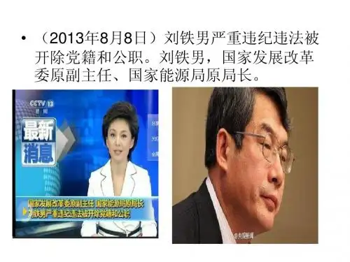 2013年国内外大事件展示 (8)