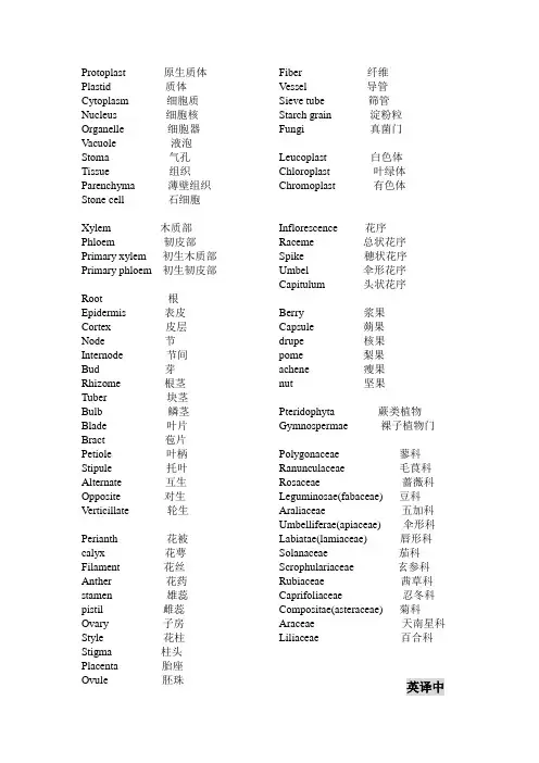 药用植物学(含检索表)