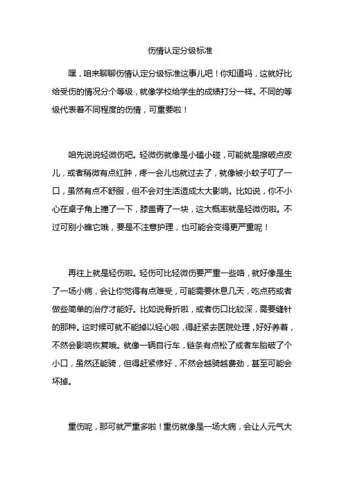 伤情认定分级标准