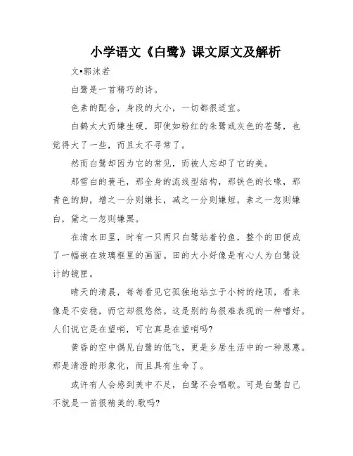小学语文《白鹭》课文原文及解析