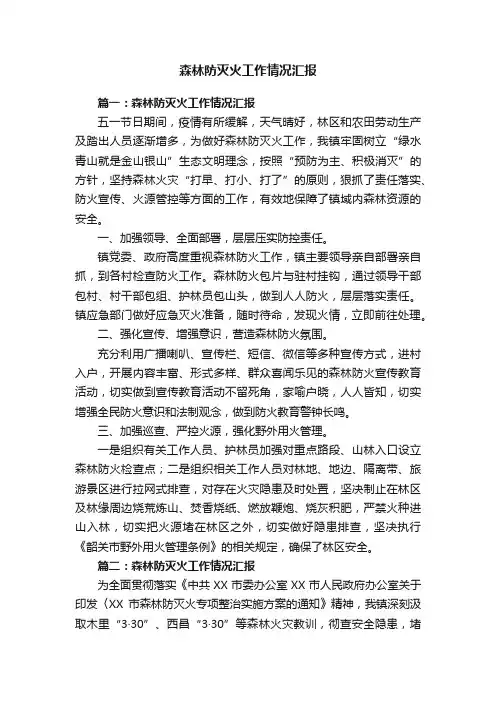 森林防灭火工作情况汇报