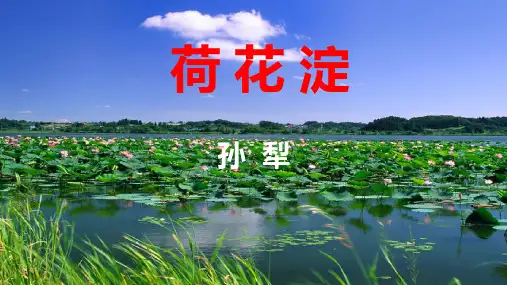 《荷花淀》ppt课件