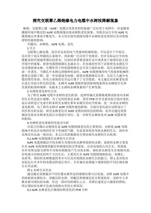 探究交联聚乙烯绝缘电力电缆中水树枝降解现象