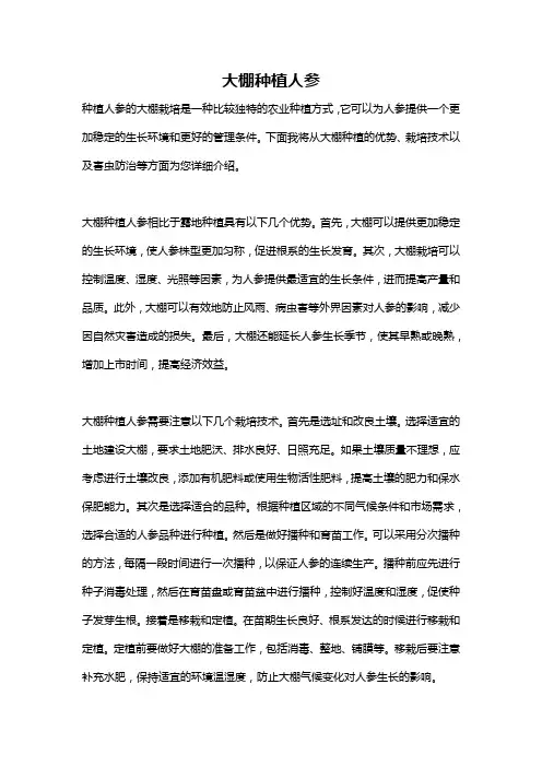 大棚种植人参
