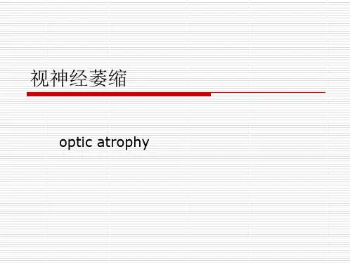 视神经萎缩