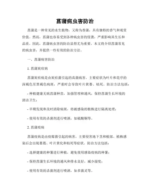 菖蒲病虫害防治