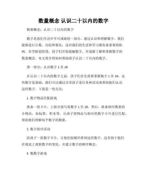 数量概念 认识二十以内的数字