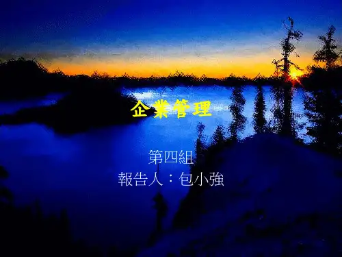 2020年新企业管理Ppt