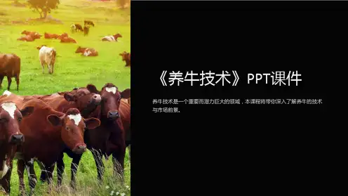 《养牛技术》课件