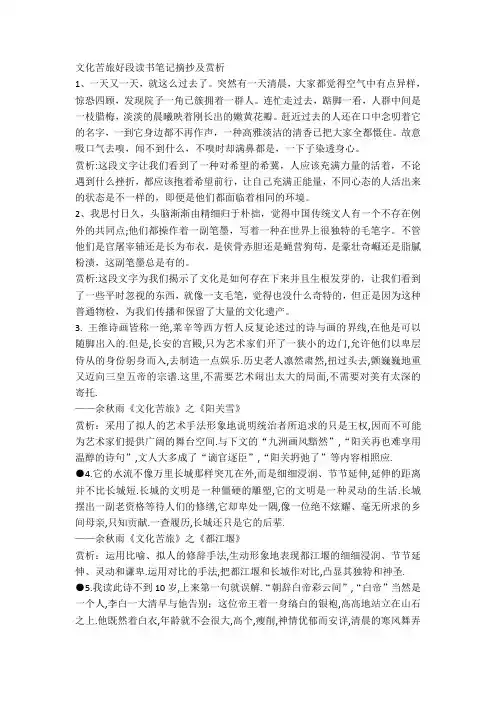 文化苦旅好段读书笔记摘抄及赏析