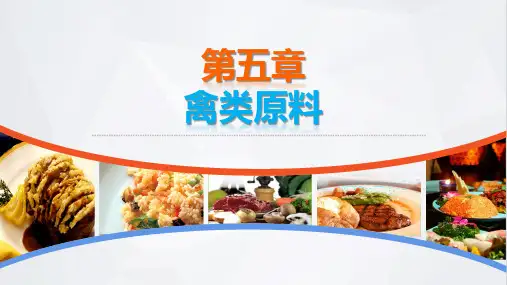 烹饪原料知识教学课件第五章禽类原料
