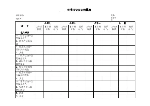 现金收支预算表(集团公司财务报表)