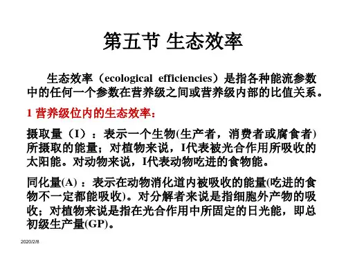 生态系统中的一般特征2