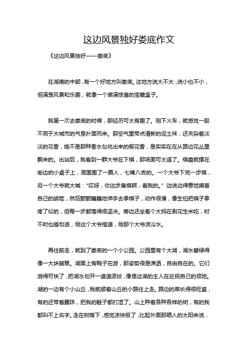 这边风景独好娄底作文
