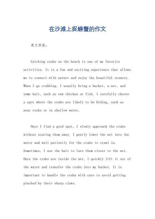 在沙滩上捉螃蟹的作文