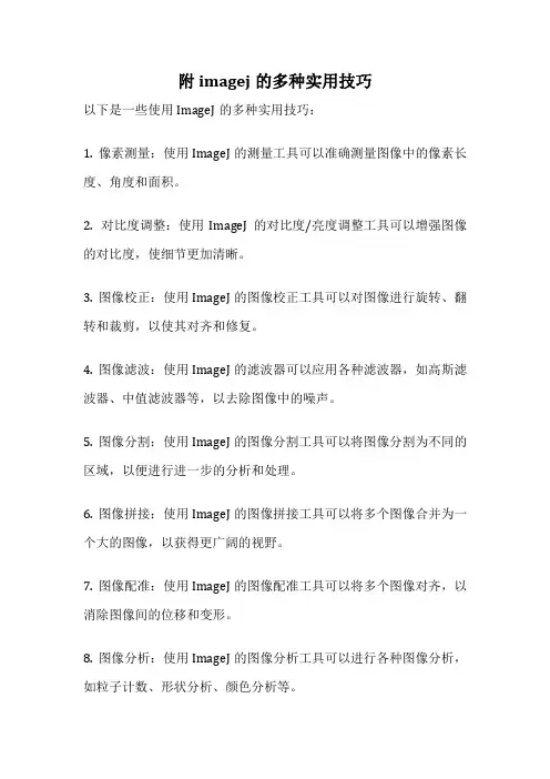 附imagej的多种实用技巧