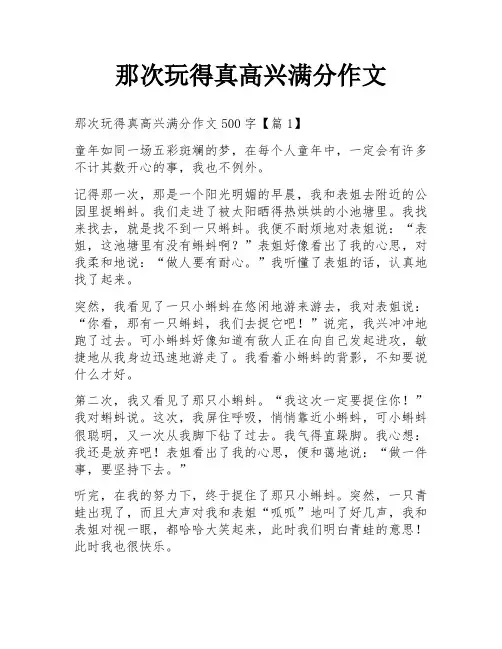 那次玩得真高兴满分作文