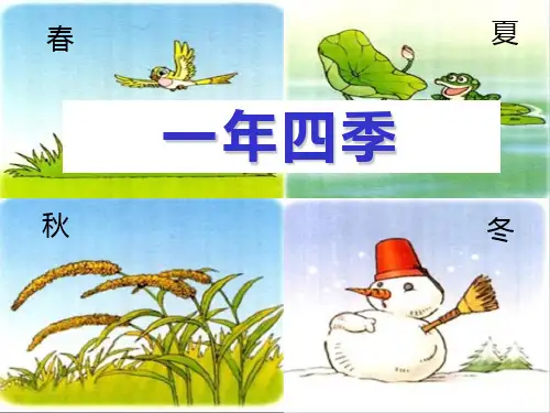 五年级下册科学课件-2.4 一年四季(9)-湘科版
