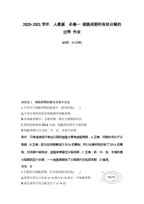 人教版  必修一 细胞周期和有丝分裂的过程 作业