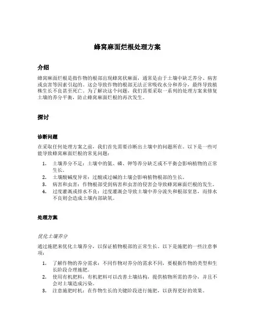 蜂窝麻面烂根处理方案