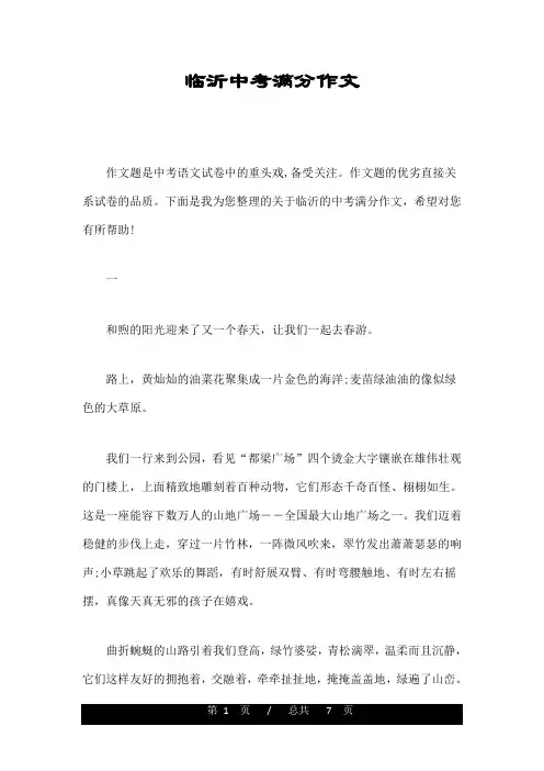 临沂中考满分作文