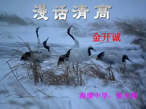 《漫话清高》课件