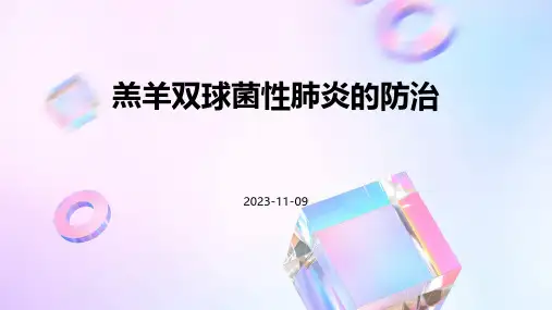 羔羊双球菌性肺炎的防治