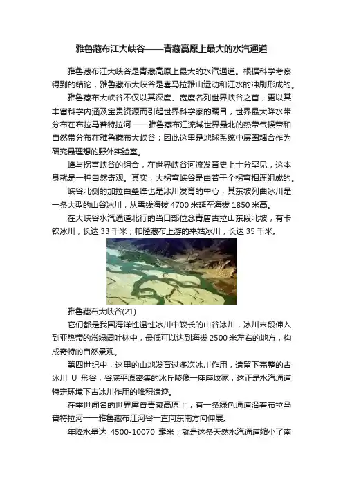 雅鲁藏布江大峡谷——青藏高原上最大的水汽通道