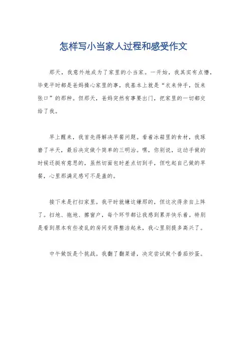 怎样写小当家人过程和感受作文