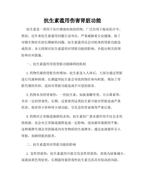 抗生素滥用伤害肾脏功能
