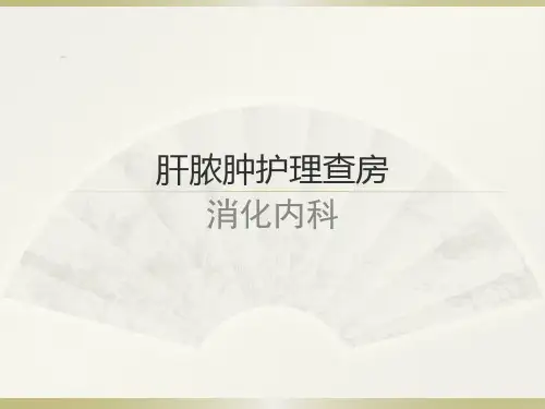 肝脓肿护理查房