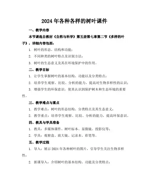 2024年各种各样的树叶课件
