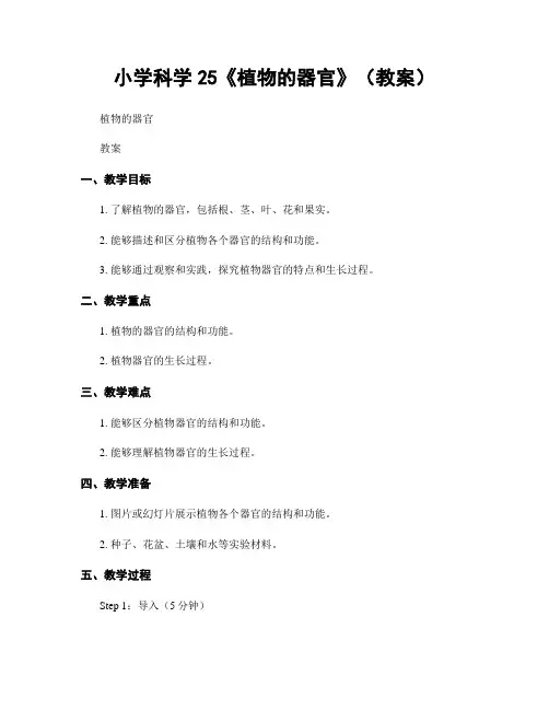 小学科学25《植物的器官》(教案)