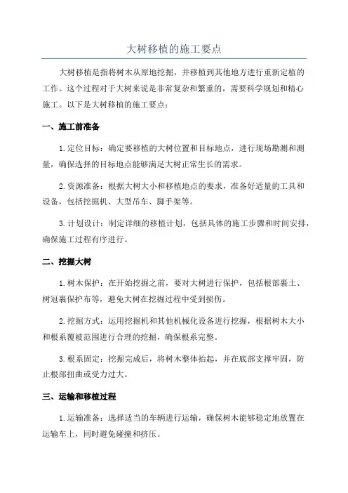 大树移植的施工要点