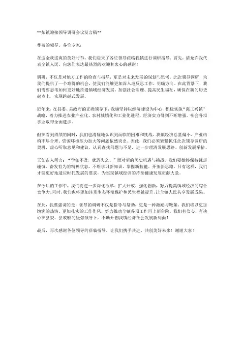 某镇迎接领导调研会议发言稿2