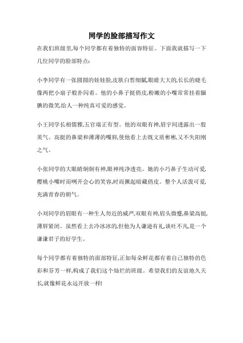 同学的脸部描写作文