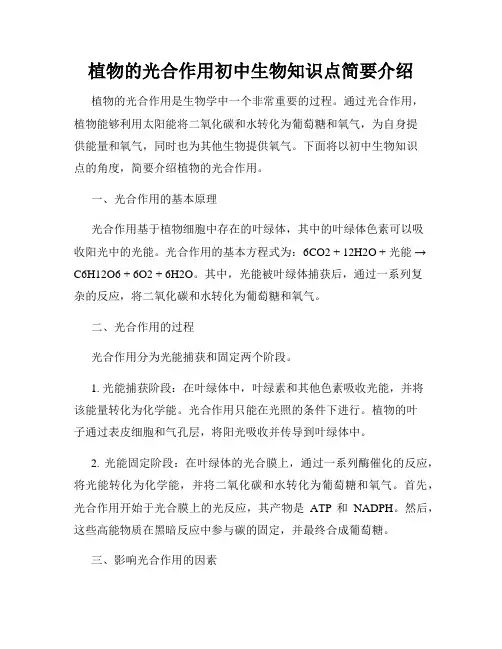 植物的光合作用初中生物知识点简要介绍