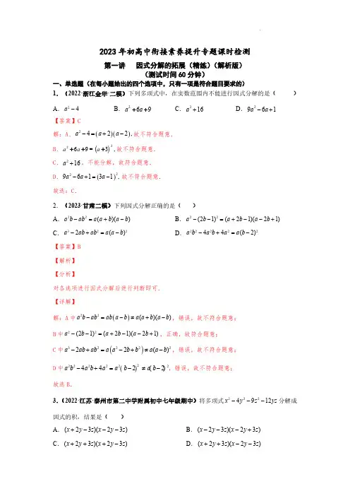第一讲   因式分解的拓展(精练)(解析版)