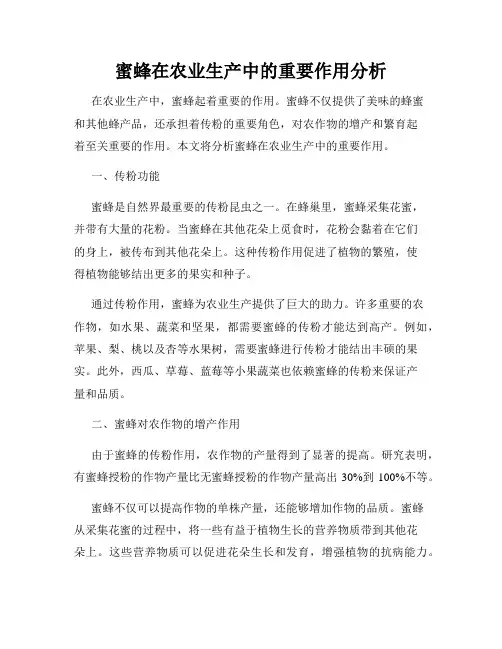 蜜蜂在农业生产中的重要作用分析