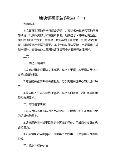 地块调研报告(精选)(一)