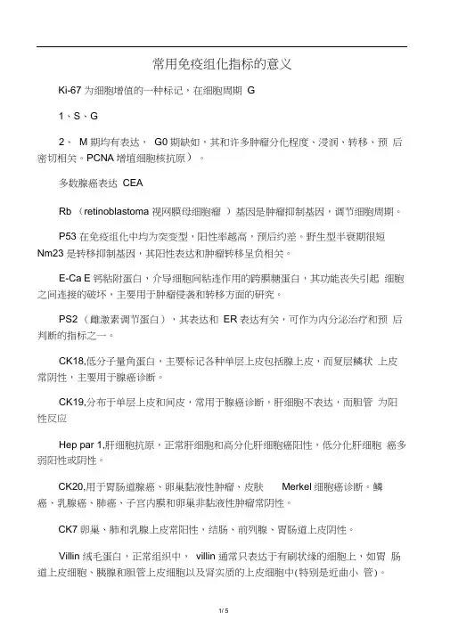 常用免疫组化标记物