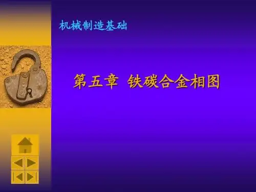 第五章 铁炭合金相图