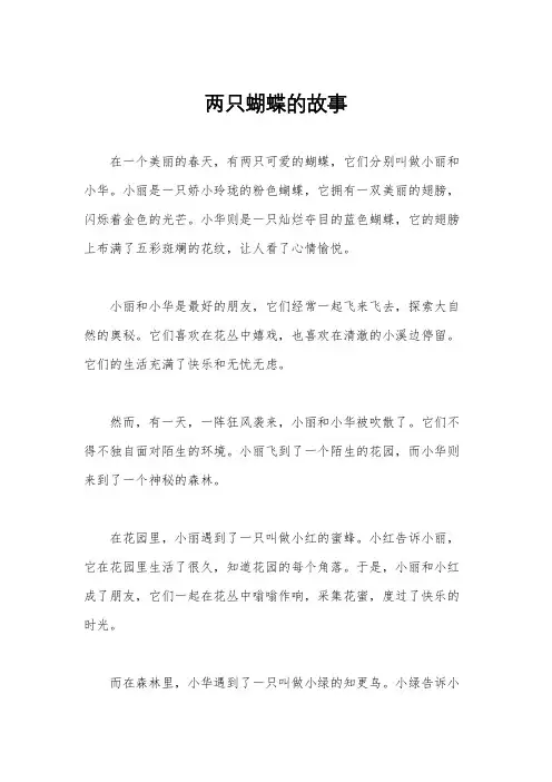 两只蝴蝶的故事